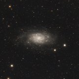 NGC2403